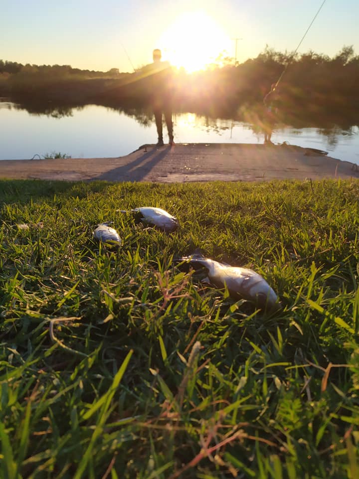 Among the SMEs involved in <a href="/CEnTOUR_EU/">CEnTOUR - Circular Economy in Tourism</a> there is "Iniochos: Guesthouse-Refreshment" (lnkd.in/dMZtPzxP)
Swimming pool, 3 independent rental houses, a large area with spectacular trees, plants, flowers, nightingales, squirrels, birds and other animals accompany the visitors.