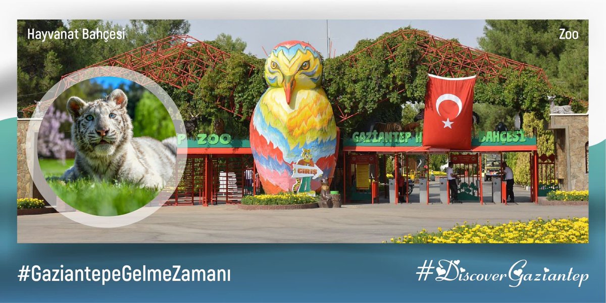 hsngdogan's tweet photo. Gaziyurt ilkokulu 
#GaziantepeGelmeVakti  
#DiscoverGaziantep https://t.co/QigXKIM7z8