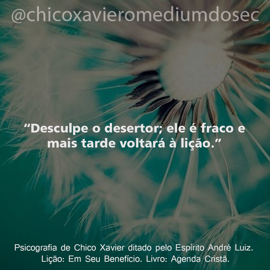 chicoxavmedium's tweet photo. Desculpe o desertor; ele é fraco e mais tarde voltará à lição. 

Chico Xavier pelo Espírito André Luiz
Lição: Em Seu Benefício
Livro: Agenda Cristã

#chicoxavier #omediumdoseculo https://t.co/bGuaLL8rBZ