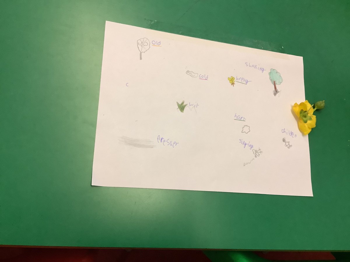 We have used our ideas to create some writing mood boards! We will be using these to develop a poem!