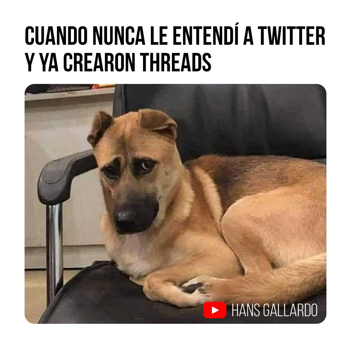 hansgallardos's tweet photo. 🙄🙄🙄
👉Visita nuestro canal: https://t.co/lisxU98Snz https://t.co/pM7rZKvZjh