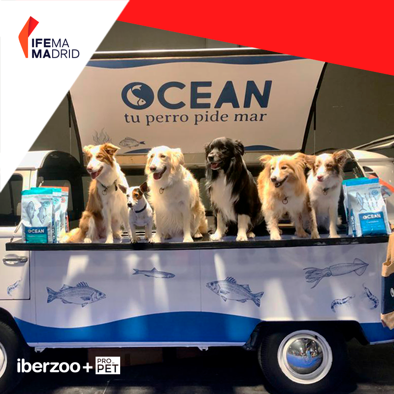 🐶 Ocean revoluciona la alimentación canina con un nuevo concepto de piensos que incorporan exclusivamente pescados y mariscos como fuente de proteína animal. 

Una alimentación natural, sana y equilibrada generando el mínimo impacto medioambiental posible. 

#IberzooPropet2024
