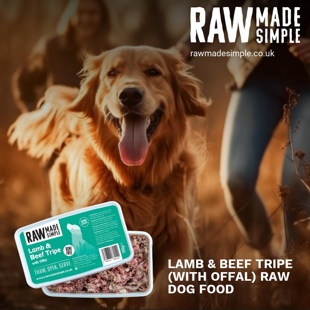 RawMadeSimpleUK's tweet photo. Our Lamb &amp; Beef Tripe (with offal) raw dog food! A delicious blend of lamb tripe, beef tripe, beef offal, and beef liver, coarsely minced for a great texture that even the fussiest dogs can't resist 🐕.
https://t.co/YqJHCrxHVb

#rawfeedinguk #rawfedinstadogs #rawfeddogs https://t.co/v0U6yMI39l