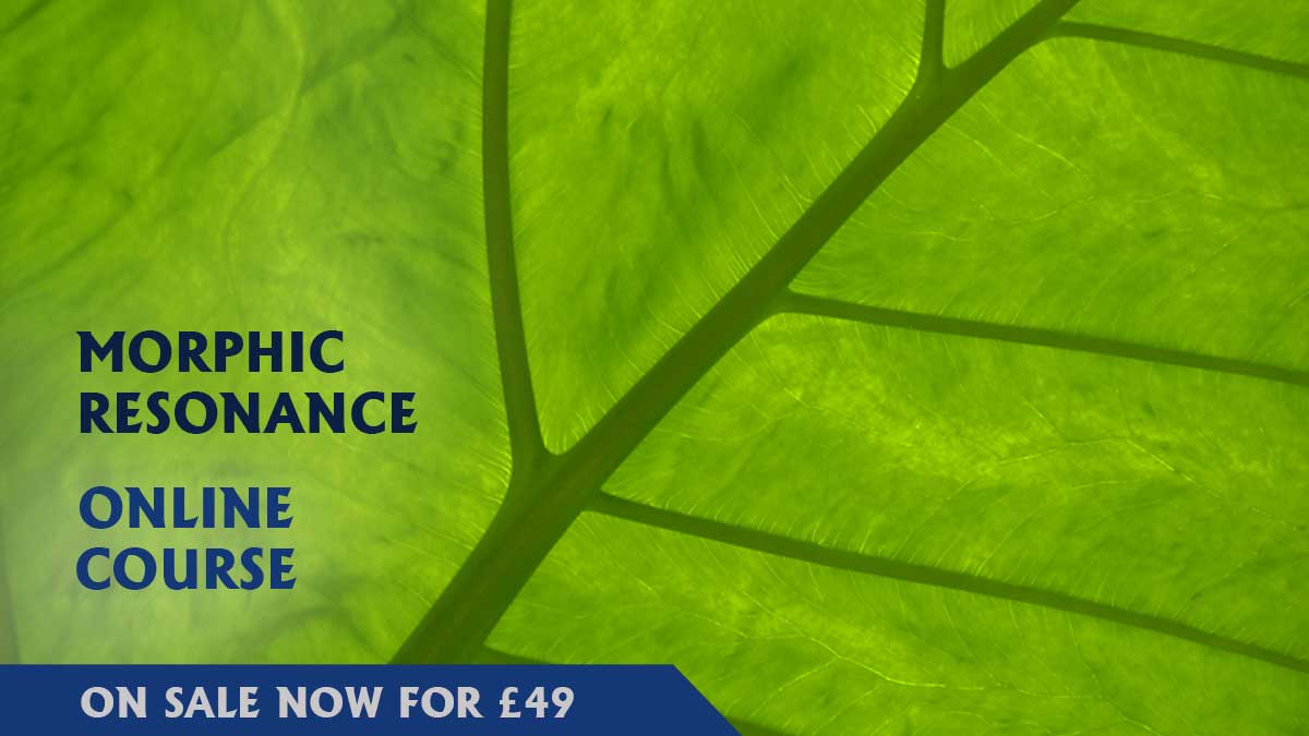The Plant Initiative tweet media