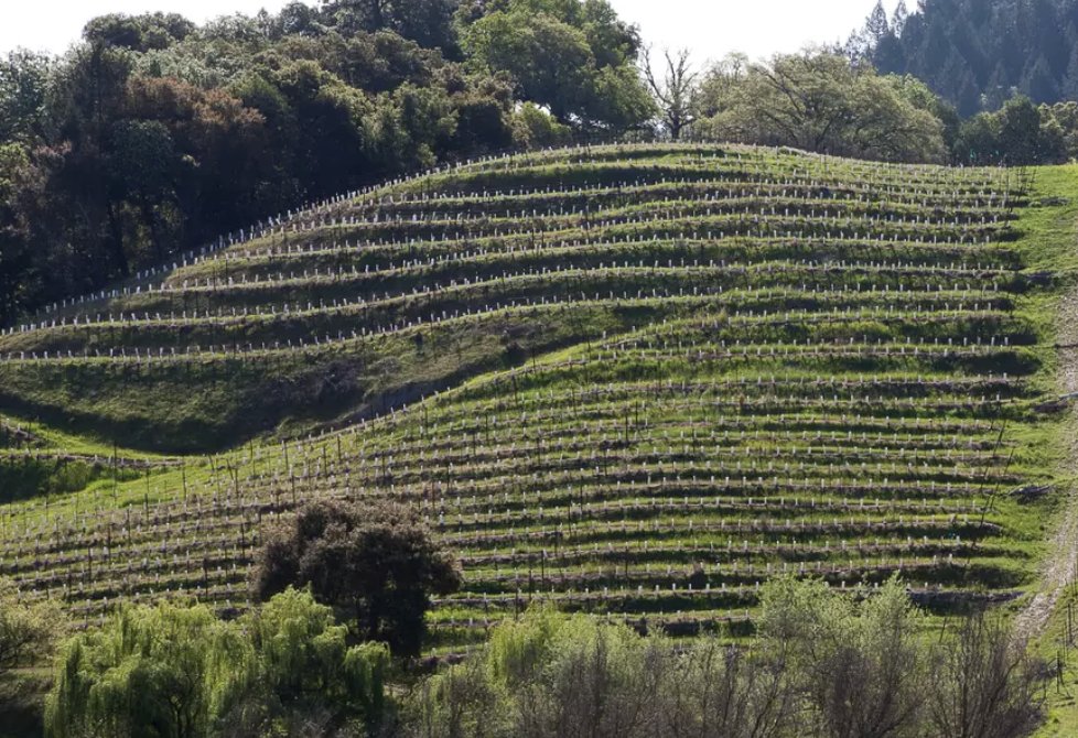 Emmené par son vaste programme environnemental Life 360, le groupe <a href="/LVMH/">LVMH</a> dévoile un nouvel objectif axé sur la réduction de 30% de l’empreinte globale de sa consommation d’eau.

journalduluxe.fr/fr/business/lv…
#luxe #lvmh #ecologie #luxedurable #journalduluxe