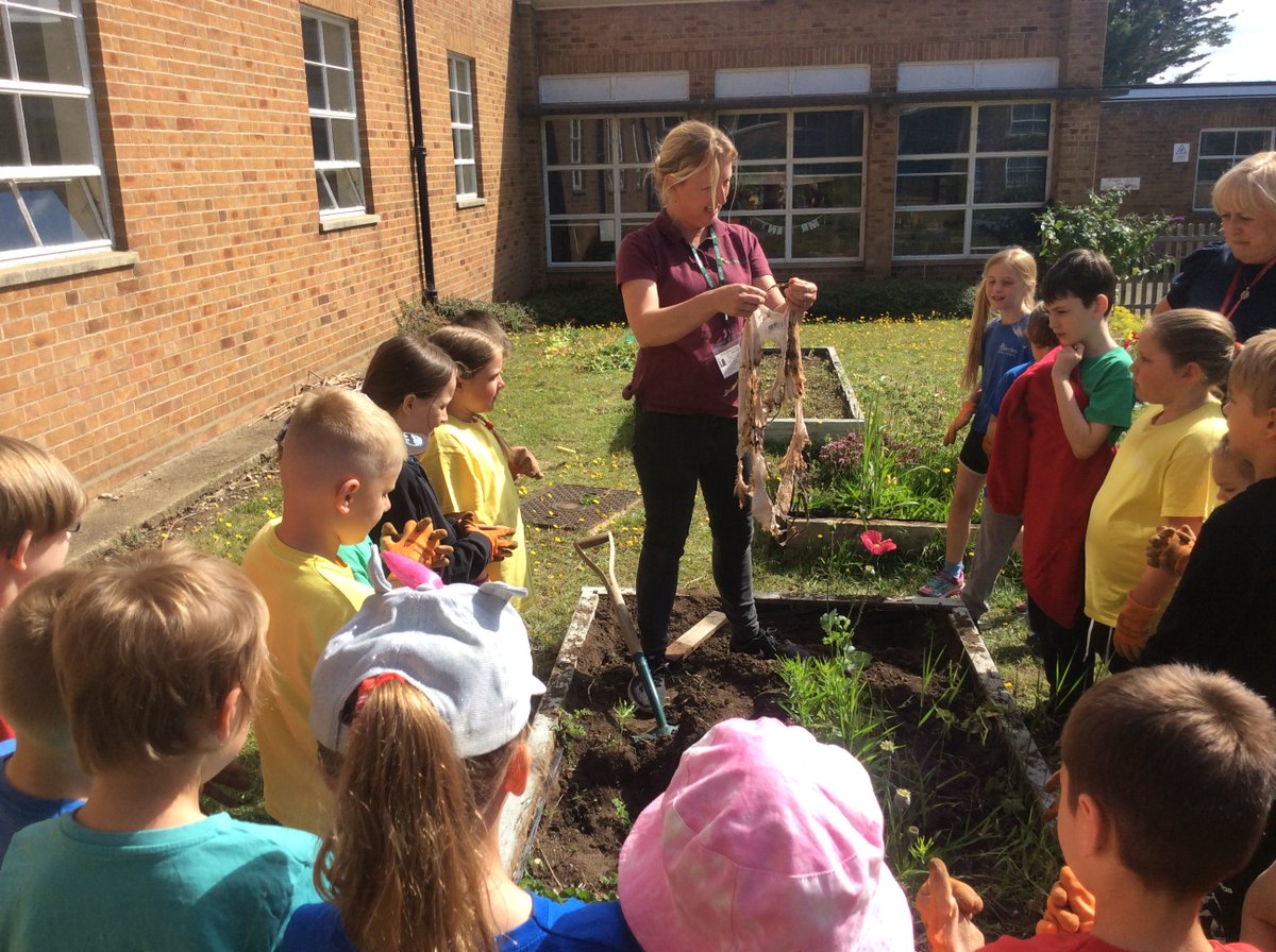 Beccles Primary Academy tweet media