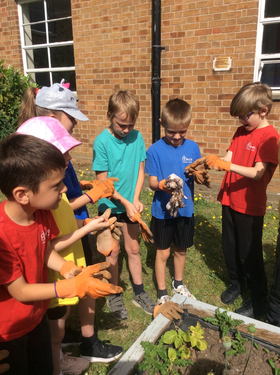 Beccles Primary Academy tweet media