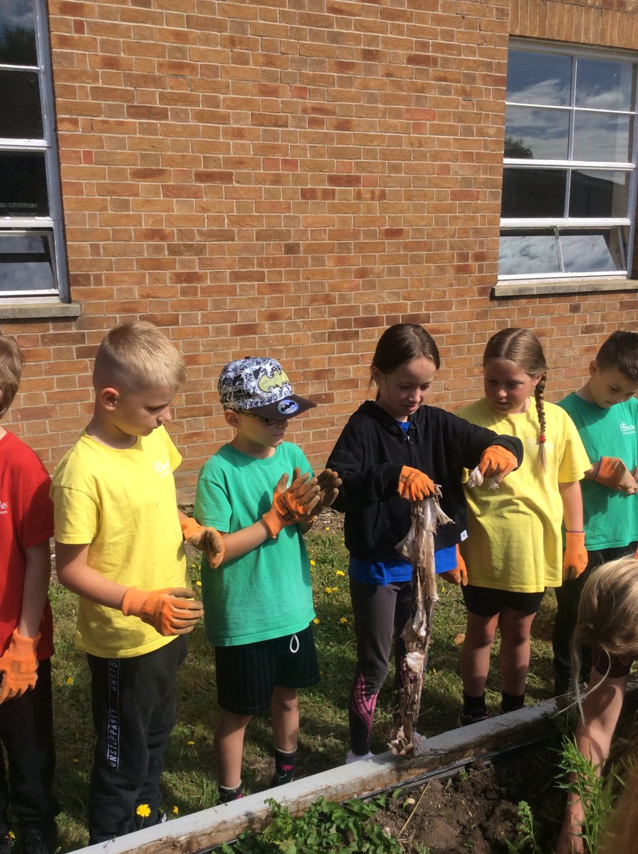 Beccles Primary Academy tweet media