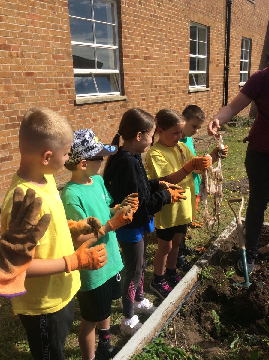 Beccles Primary Academy tweet media