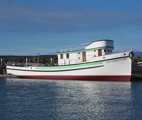 Katie Thomas 🦑 tweet media