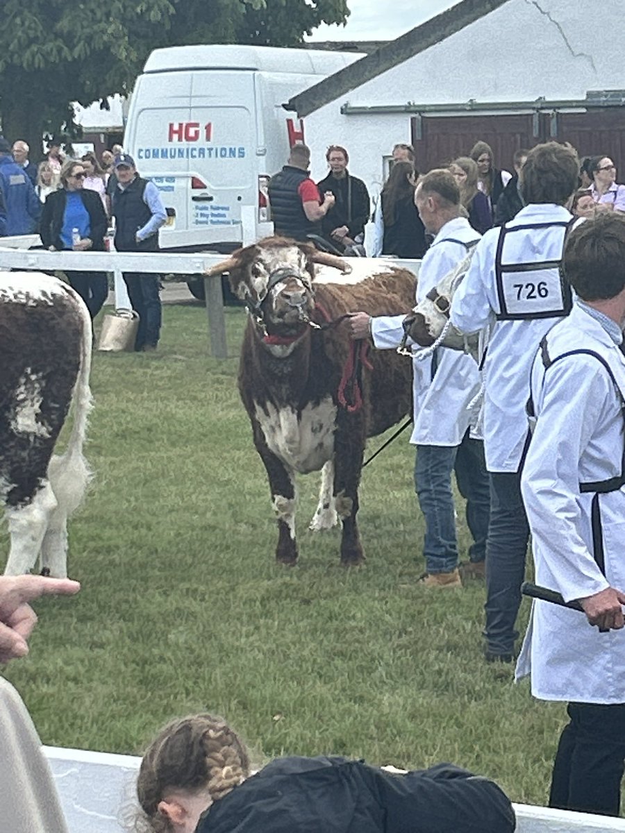Really interesting morning at the <a href="/greatyorkshow/">Great Yorkshire Show</a> started with the <a href="/CLAtweets/">Country Land & Business Assn</a> presidents breakfast seminar. We are around for most of the day today catching up with clients and contacts <a href="/sam_watts8/">Sam Watts</a> <a href="/TomWills1981/">Tom Wills</a>