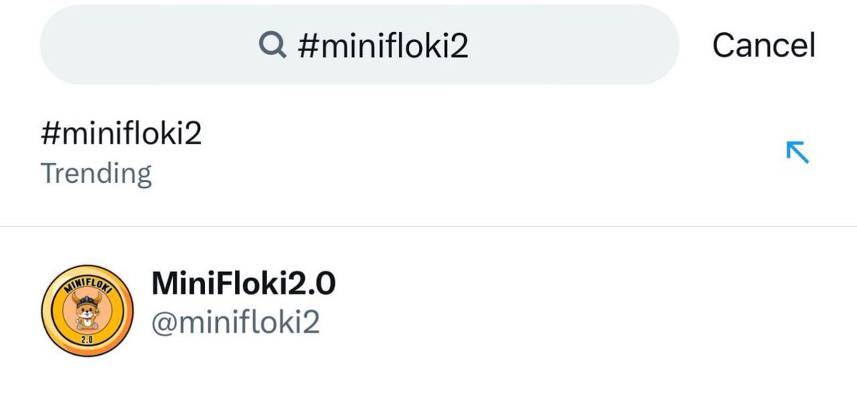 MiniFloki2.0 tweet media