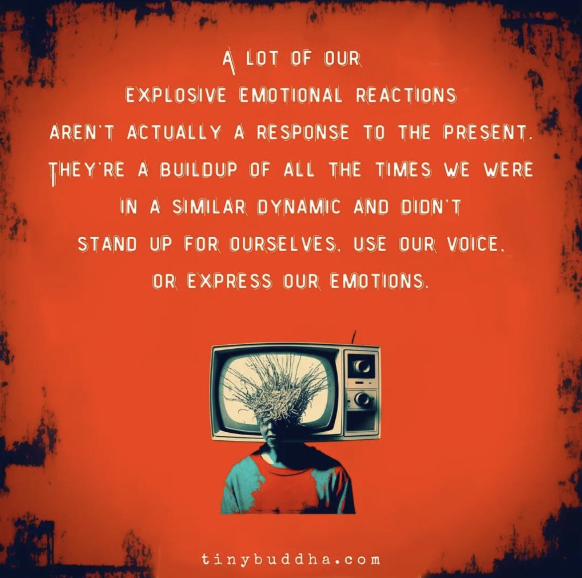 Ruth Williams tweet media