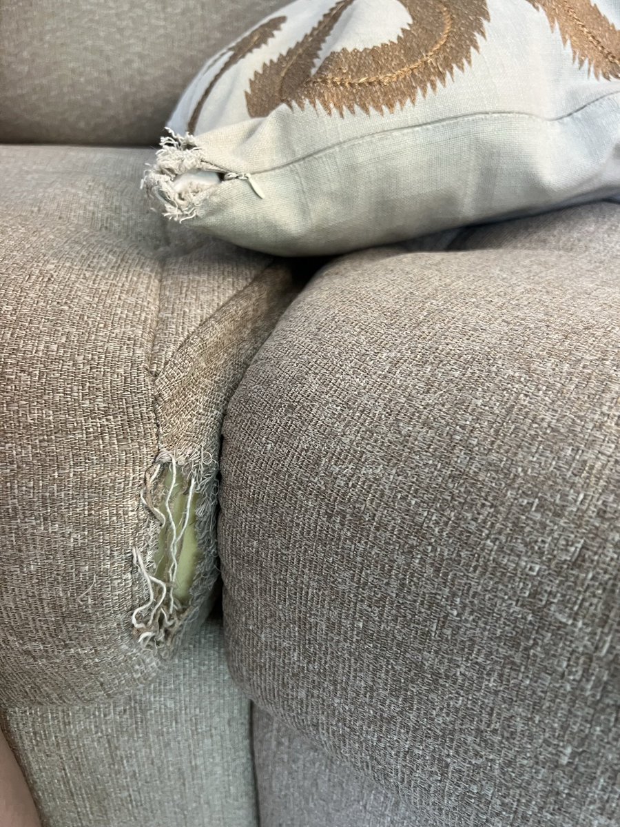 Apparently this is only worth £30 compensation from a £500 caravan. <a href="/Parkdeanresorts/">Parkdean Resorts</a> 😒 chewed up furniture and a dirty, mouldy shower