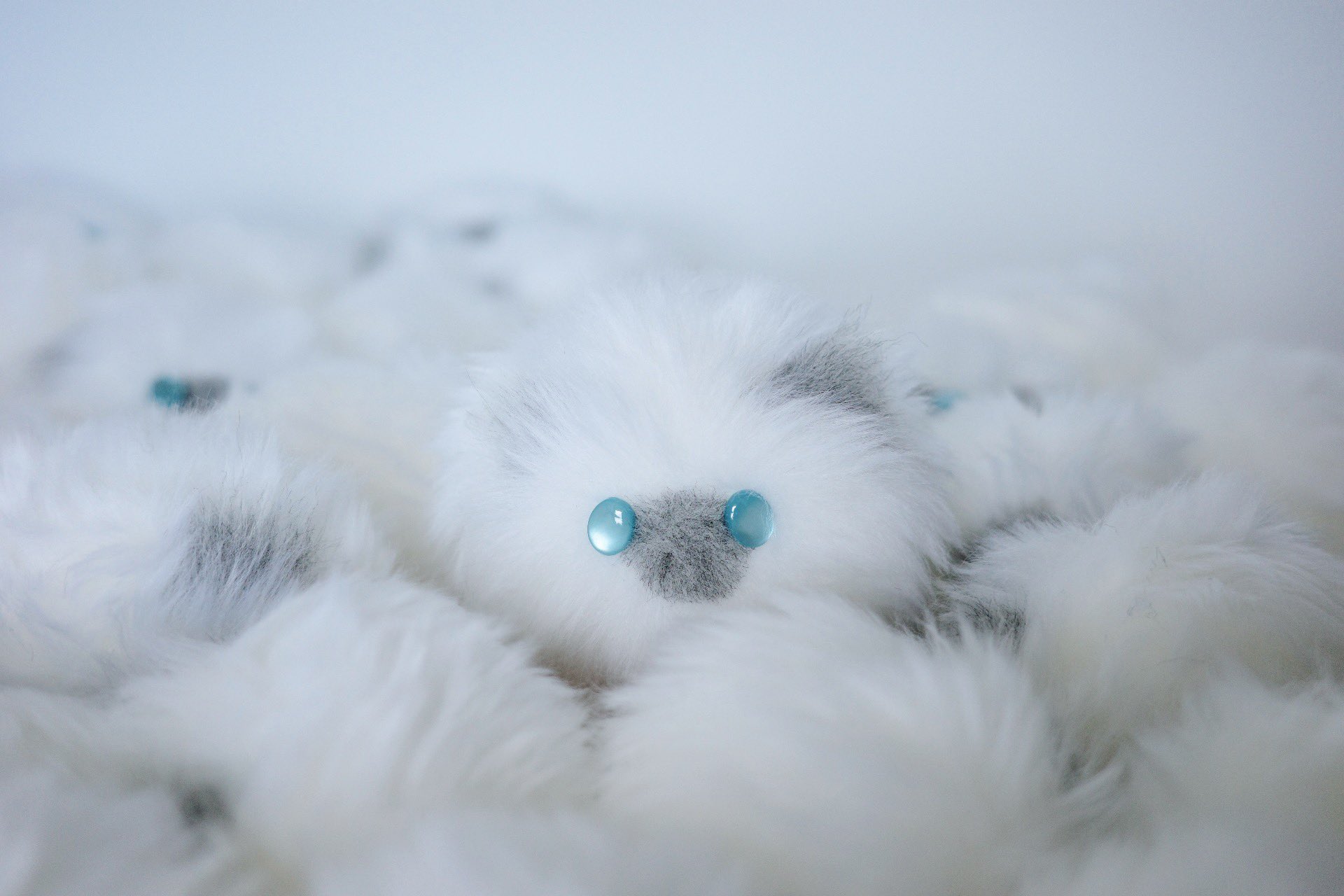 ギフト けさぱさふれんず ラウンドワン限定 BIG ぬいぐるみ 黒 白