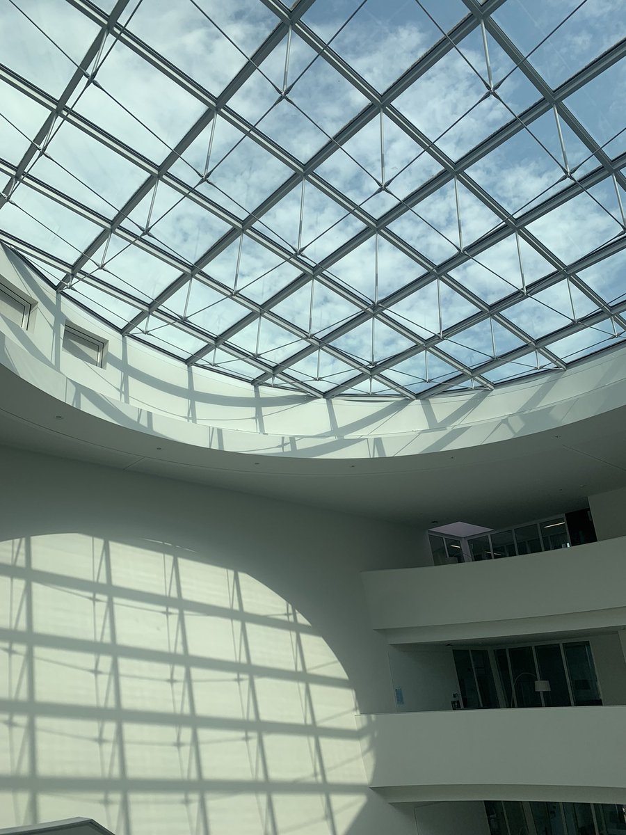 Yesterday I was giving my first seminar as a postdoc at <a href="/MPI_Light/">Max Planck Institute for the Science of Light</a> in Erlangen! Thank you for the invitation <a href="/JochenGuck/">Jochen Guck 🇺🇦</a> was a pleasure to meet your lovely team <a href="/GuckLab/">GuckLab 🇺🇦</a> 🔬🦠#biophysics #cellmechanics <a href="/FM4B_Lab/">Force microscopy group</a>