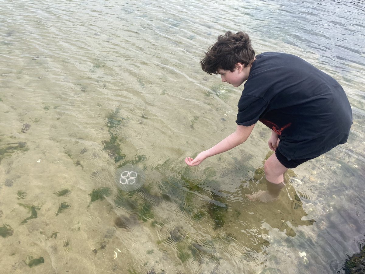 Elm class children have found the first jellyfish of the day at Margate beach. They have decided to call it squishy <a href="/EEC_Elaine/">Elaine Education Centre</a> <a href="/PrimaryElaine/">Elaine Primary</a>