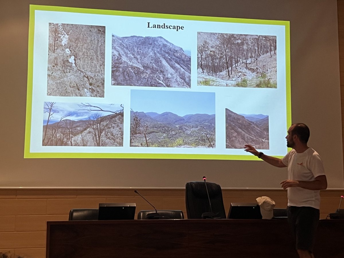 Artemi Cerdà tweet media