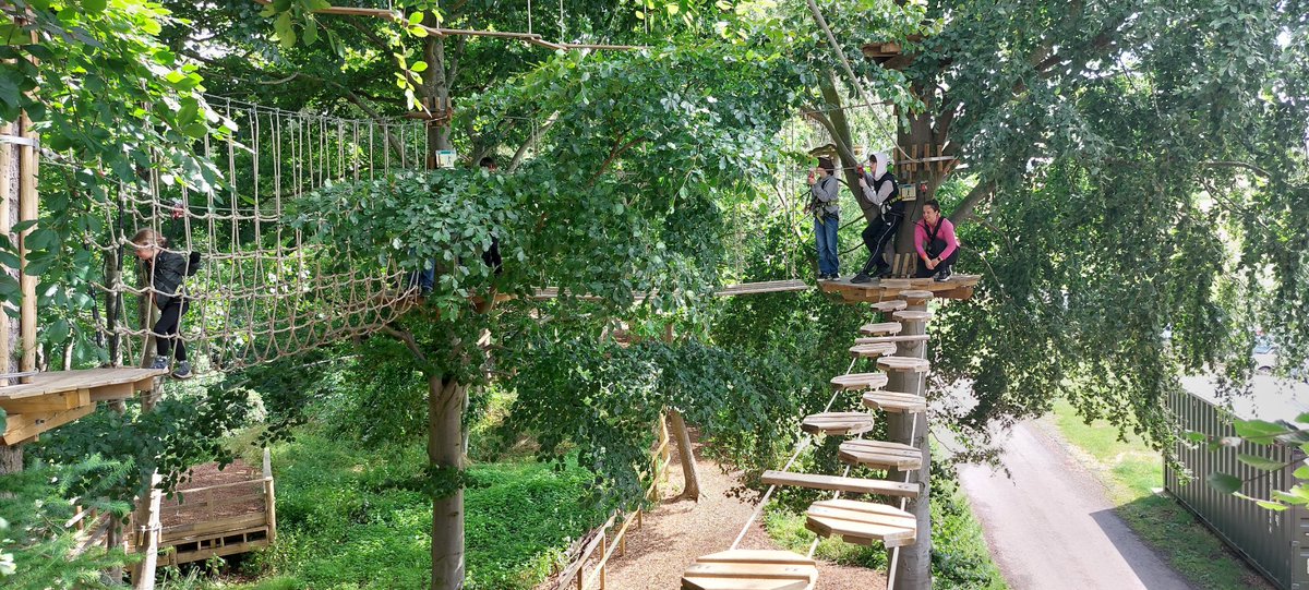 Let's Go Ape. Summer Programme officially began today!! Here's to the next 4 weeks. #summer