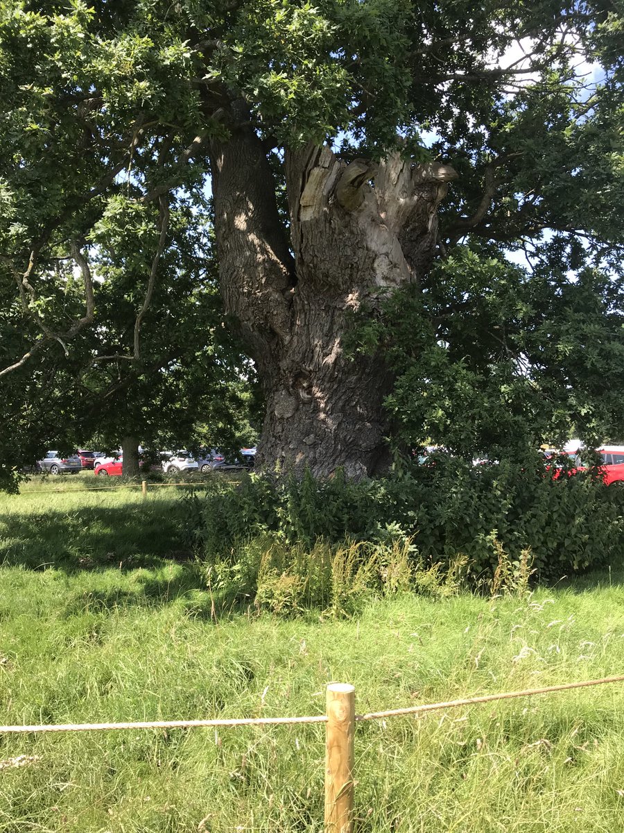 Joanna Hickson tweet media