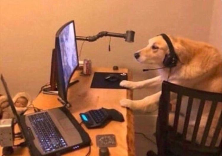 ticketmaster qui est en train de nous ghoster ON EXISTE MEME PLUS MDRRRR allo on est encore là hein 
#TSTheErasTour