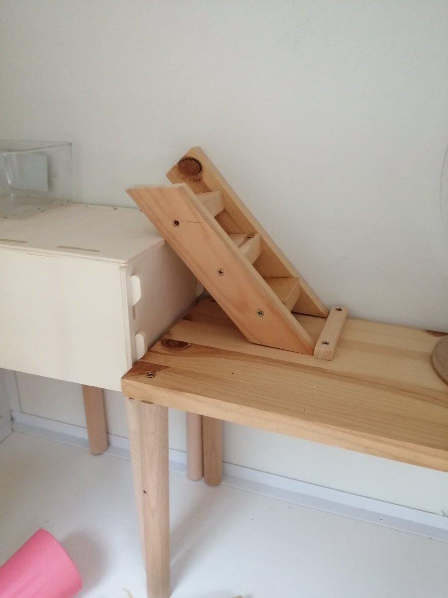 When it's your 'day off' and you build a hamster sized staircase 🤣