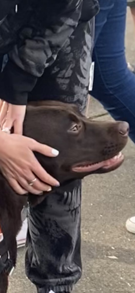 Denise Duffy tweet media