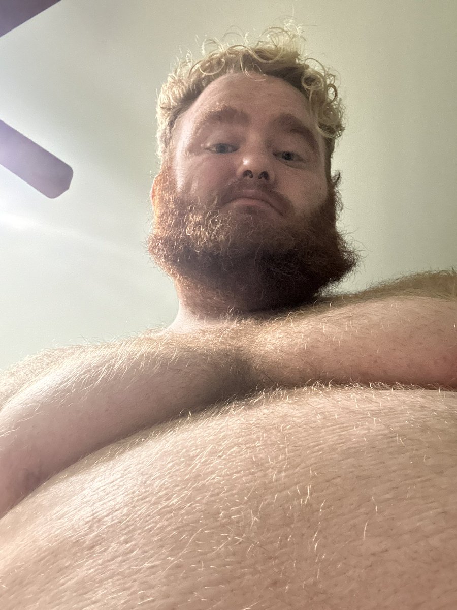 Ginger_Chub's tweet photo. Hey Twitter it’s been a while #chubbear #gaychub #gaybear https://t.co/RCH0OJHK3N