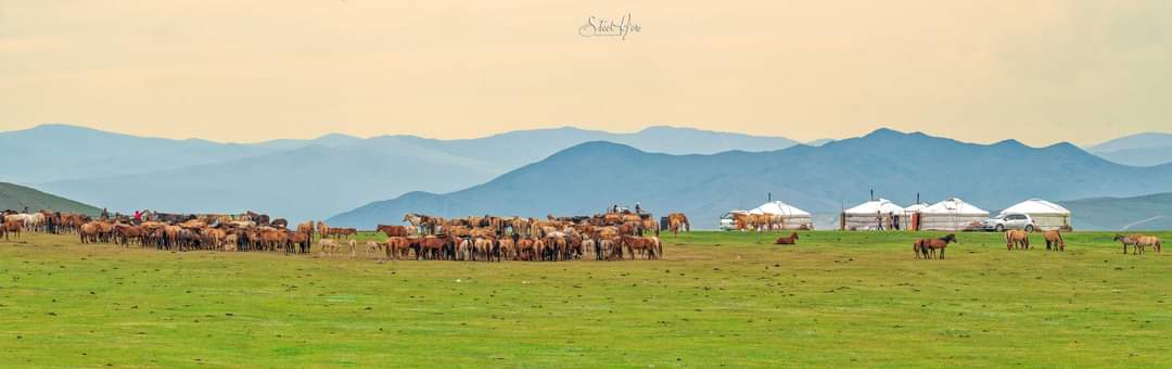 Amara (@amaranuurkhuu) on Twitter photo 