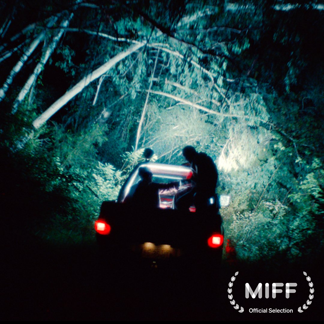 Umbrella tweet media