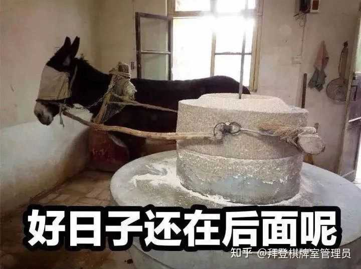 jaycode2254's tweet image. ~

本人撸毛1年多了，

从去年的OP，到APT，再到今年的ARB，

每个项目我都拿到1500-6500U的空投，

最大的一个ARB账号，直接空投了6500个ARB，

一个人任务没做，

纯GAS交互，

你们这些KOL，整天跟着项目方后面PUA韭菜，拿到一点点自己的工资，或者空投。

我之所以戳出，

实在是看不下去了。。