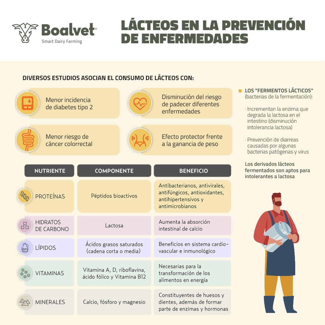 BoalvetAI's tweet image. 📣¿Sabías que gracias a los lácteos 🥛se pueden prevenir enfermedades🏥?

#agritechprogress #agriculture #Agricole #Lecheria #lacteos #enfermedades