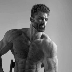 Homophobic Man tweet media