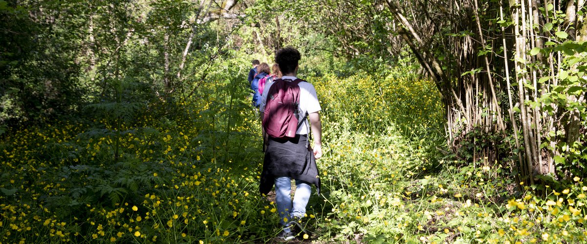 Visita guidata gratuita pomeridiana: sabato 15 luglio alla scoperta della Valle del Treja Foto AUT Vita sotto gli alberi <a href="/ParcoTreja/">ParcoValledelTreja</a> shorturl.at/klDLW