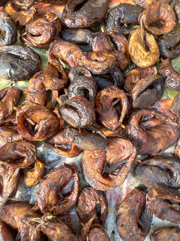 JanetGCharles1's tweet photo. @General_Oluchi I sell dry river fish, crayfish, magala fish, original honey in litres. I sell in wholesale and retail https://t.co/1V9xeD8JzD