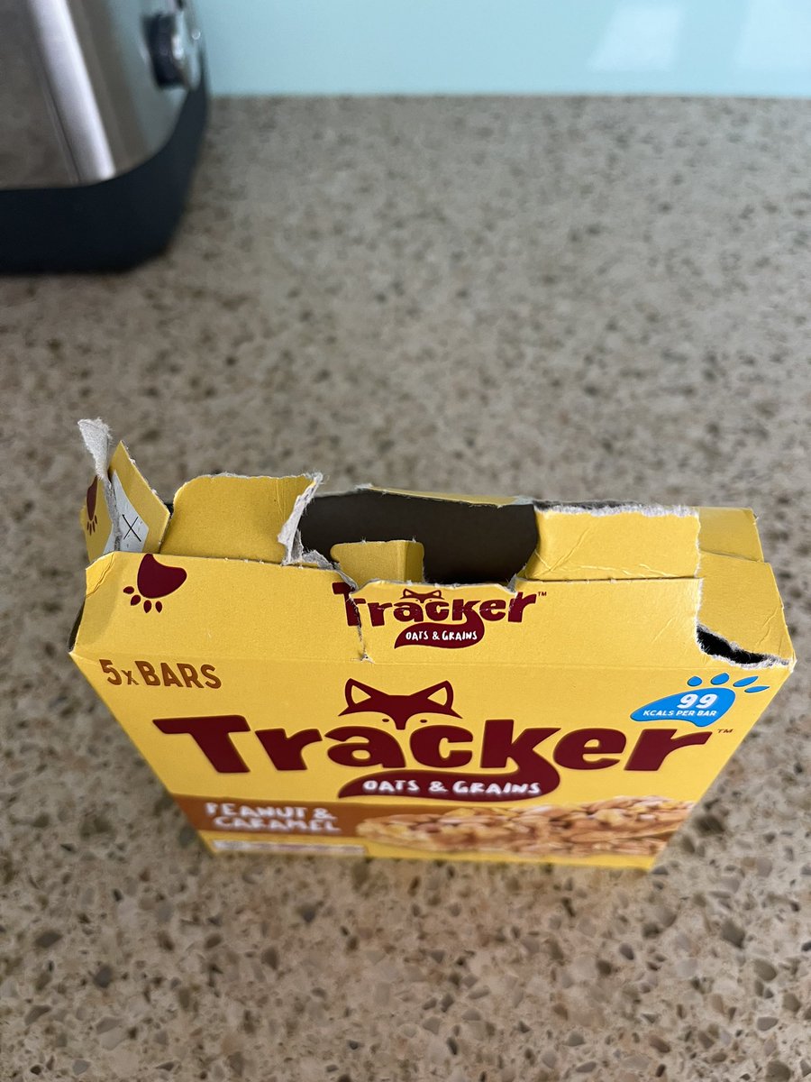 Terry👩🏼‍💻 🌈🐶 aka Mrs P tweet media