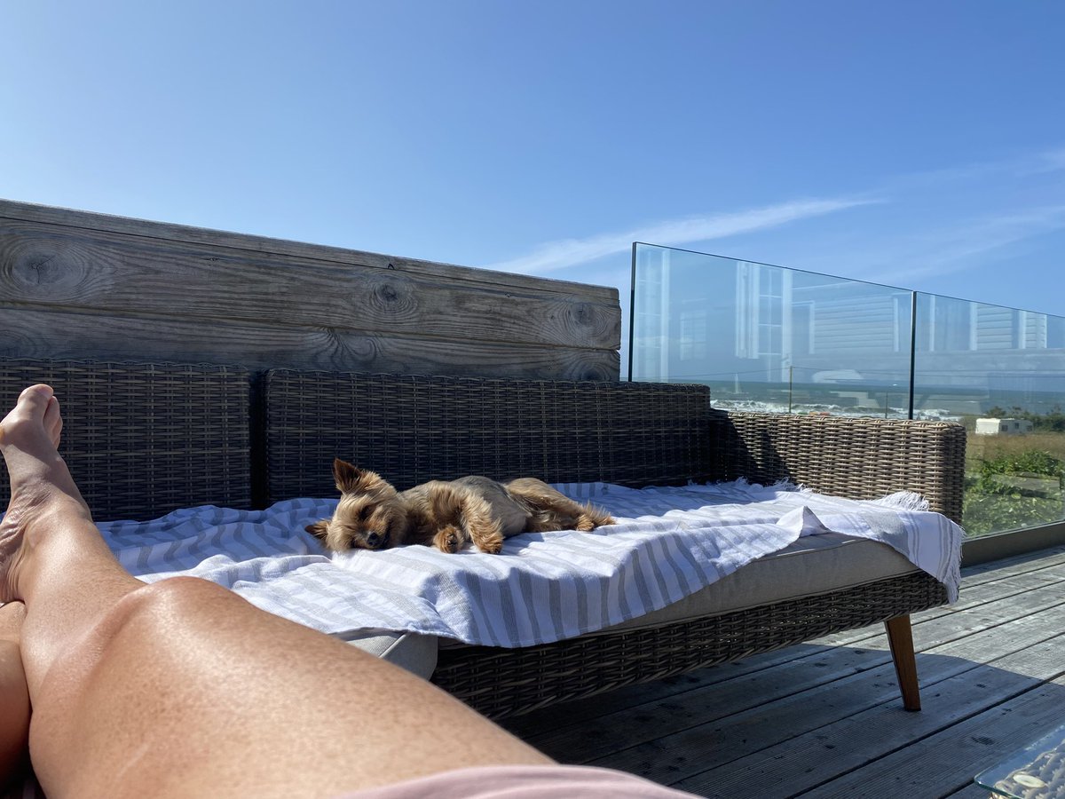 If there is an afterlife I am coming back as this dog ❤️ #Ruby #DogsLife #happy #Dogs