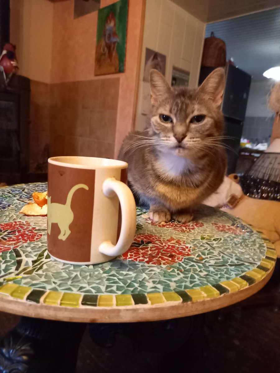 Réveil difficile. 
Un café.