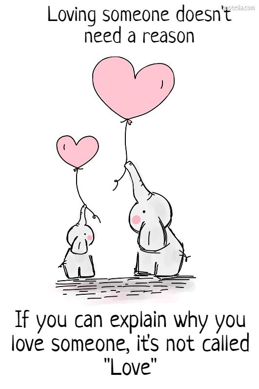 NatureNeedsUs🌱🌍♻️💚 on Twitter "I love you without reason. You don