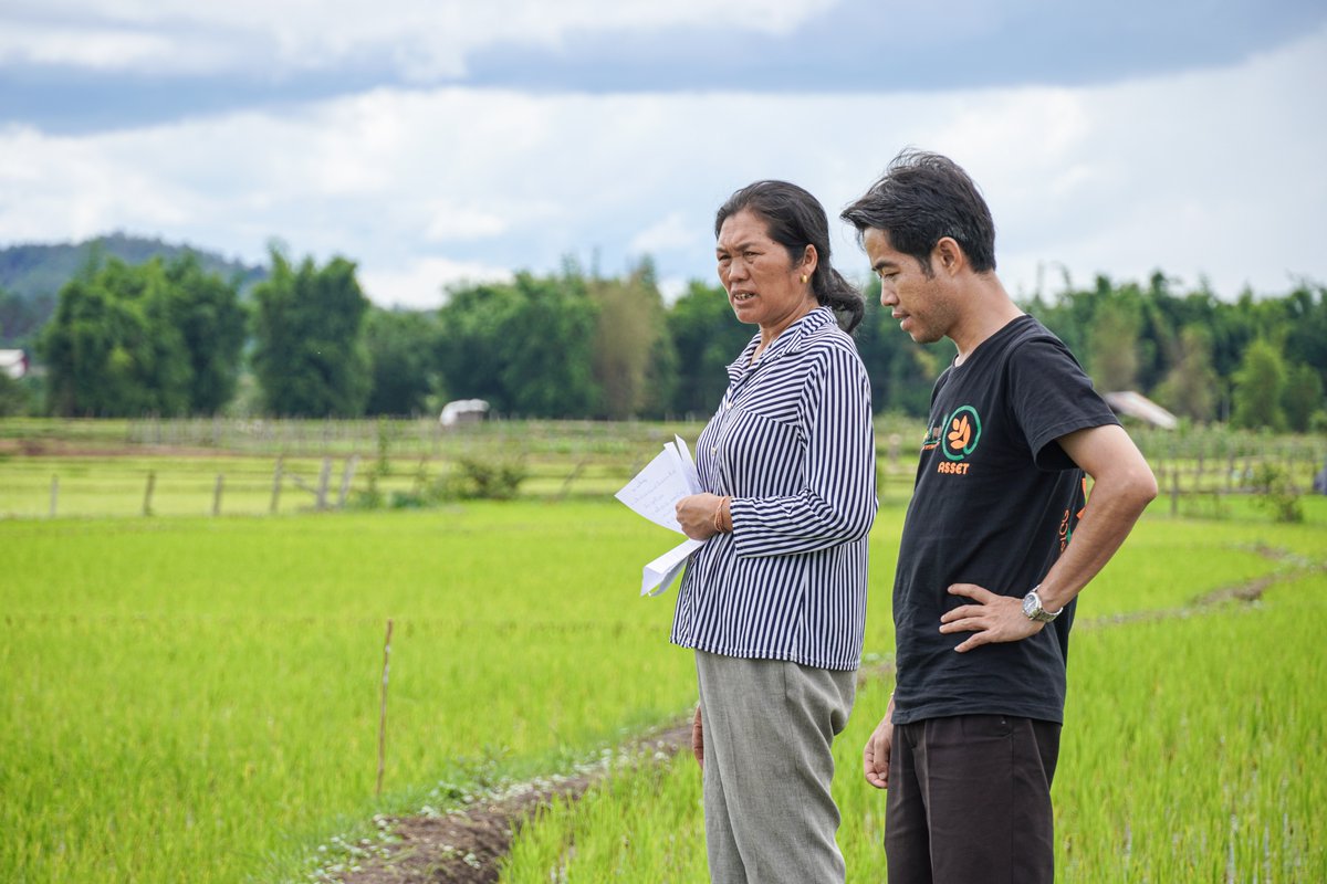 ASSETProjectSEA's tweet photo. In #Xiengkhouang 🇱🇦, 400+ farmers were trained in #agroecology 🌾practices. Mrs. Sodsouda adopted Integrated #PestManagement (IPM) right after the training. 

🔗Read her story: https://t.co/FBjv94tP90 https://t.co/AxzY5BCiWI