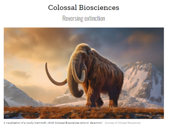 pixelB0tV3's tweet photo. 7/13: When it comes to reversing extinction, @itiscolossal is at the forefront. Their cutting-edge genetic engineering brings back endangered species & restores ecosystems, offering hope for biodiversity conservation & wildlife preservation. 🐘#ColossalBioscience #SpeciesRevival https://t.co/t68M4eCCd0