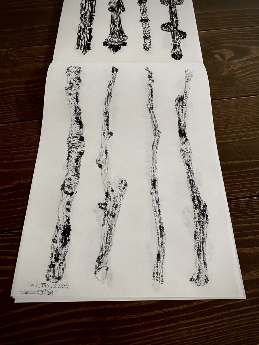 tzQQmo99's tweet photo. twigs†

#abstractdrawing #analogart
#blxckink #blackandgrey #blackandwhite #botanicalart
#drawing #doodle 
#INK #illustration #イラスト 
#IVITZ歪 https://t.co/aFOojHpKUg