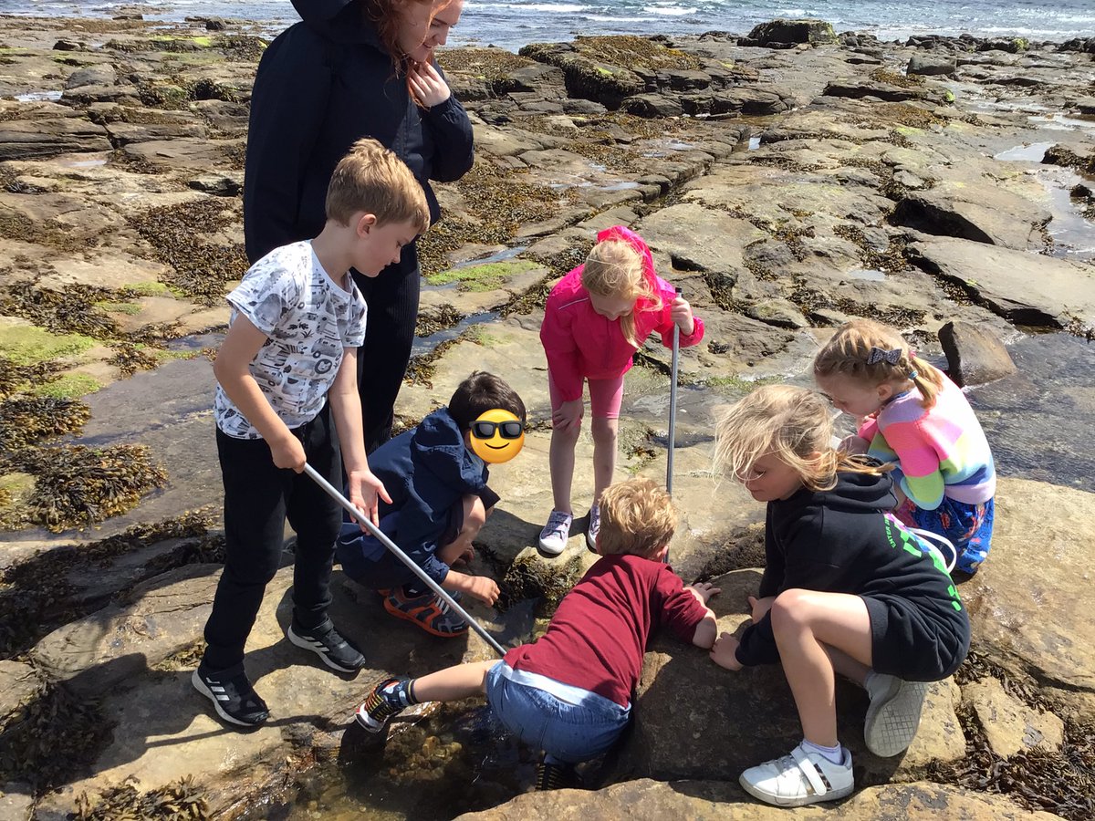 BDP_Year1's tweet photo. Year 1 had a brilliant afternoon finding out about the lighthouse, looking for seals and rock pooling! @bentondeneprim https://t.co/Ry8Z5xXzG0