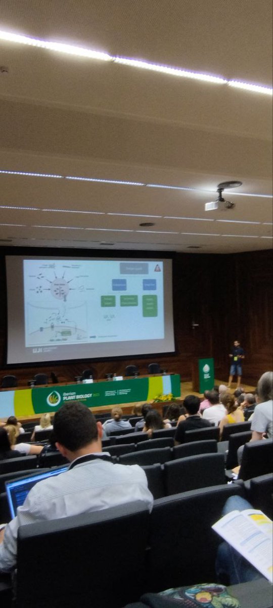 pibgroupIR's tweet photo. Dr. Jordi Gamir at @IberianPB2023 in #Braga 🇵🇹
"Extracellular DNA induces a broad-spectrum resistance against pest and pathogens"🐛🦠🌿
#plantscience #PlantBiology #Congress #PlantCongress #PlantBiology2023 #IPB2023 https://t.co/nxaVTwnfMi