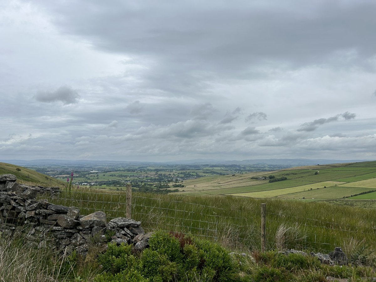 Turn Up the Value tweet media