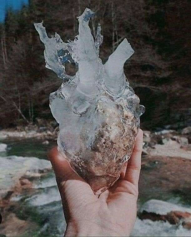 deliandersons's tweet photo. After ukubekezela for so long this is what I become👇cold hearted #ColdFront #suspended #alba https://t.co/dxCv3XZDUQ