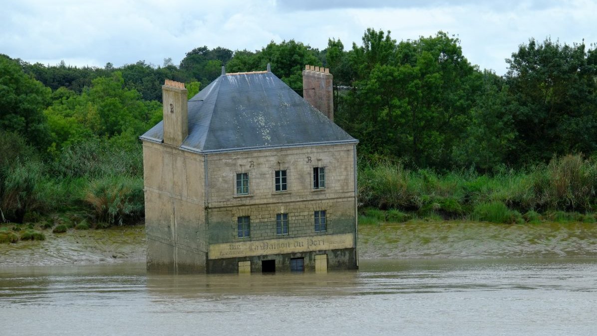 Le Chandouidoui tweet media