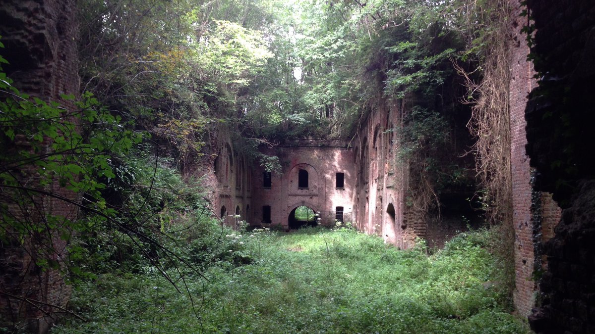 Le Chandouidoui tweet media