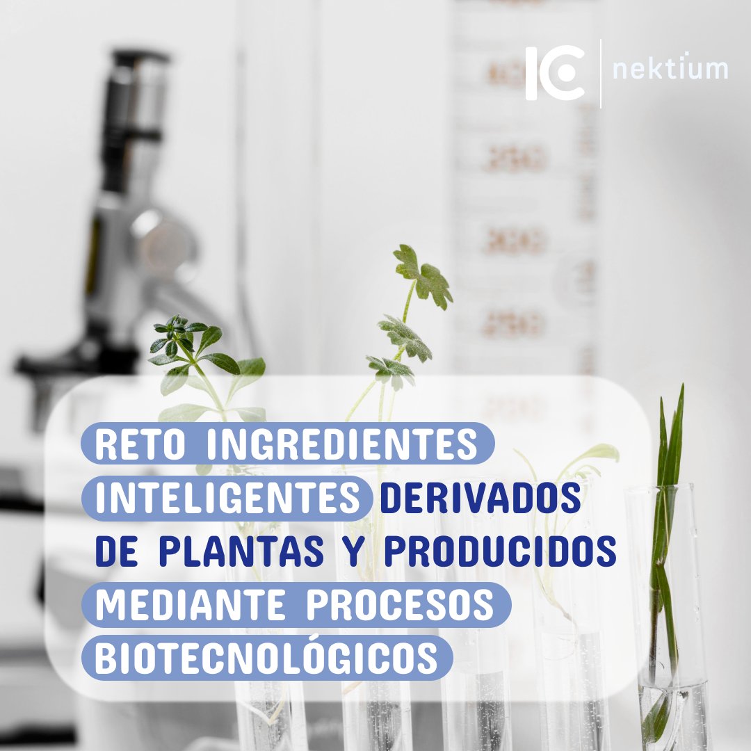 ¡Descubre el futuro de los #ingredientesinteligentes! Únete al reto de <a href="/NektiumPharma/">Nektium Pharma</a> y desarrolla soluciones #biotecnológicas a partir de plantas. Si eres una startup innovadora, esta es tu oportunidad.
Apúntate, sé parte del cambio➡️ bit.ly/43c6O1D
