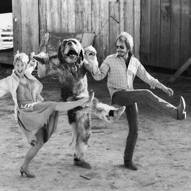 #AllAmericanPetPhotoDay
#Cujo (1983)
#horrormovie
#horror #thriller